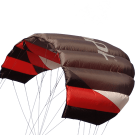 Sting 4 Line Power Kite